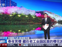 榮登央視《東方時(shí)空》丨湖南湘江新區(qū)學(xué)士街道晚安家居文化園夜櫻盛放